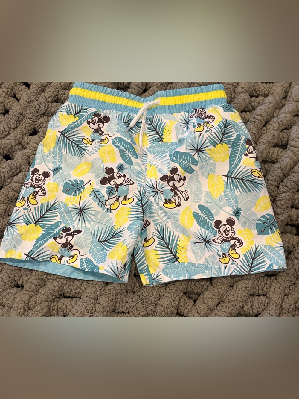 Disney Mickey Mouse 4T Boys Swimming Trunks